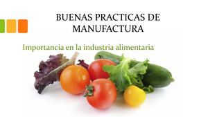 Buenas Practicas De Manufactura