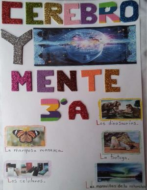 Cerebro Y Mente Revista De Divulgación Científica 3° A