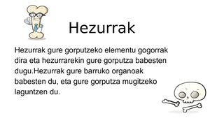 Hezurrak