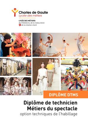 11 Diplome Dtms Plaquette