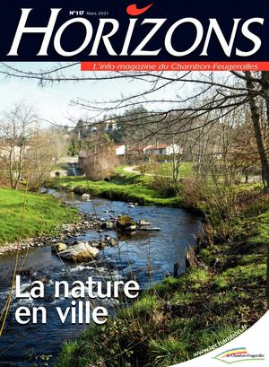 Bulletin Horizons 117