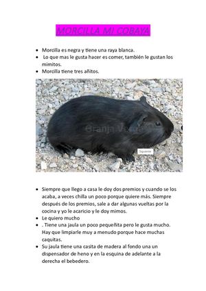 Word Explora Actividad 8 Super Girl