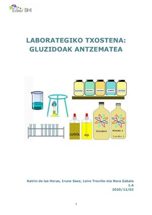 LABORATEGIKO ESPERIENTZIA_ GLUZIDOAK ANTZEMATEA (Katrin, Irune, Leire Eta Nora).