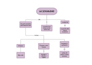 La Sexualidad (1)