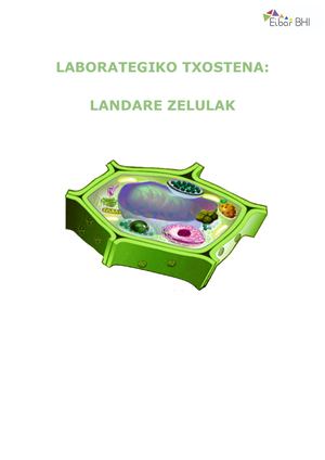 Landare Zelulak (Ane Treviño, Leire Treviño Eta Nora Zabala)