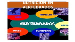Nutrición De Los Vertebrados