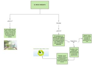 Mapa Conceptual Del Medio Ambiente Kheren Montenegro