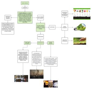 Mapa Conceptual Medio Ambiente 9c