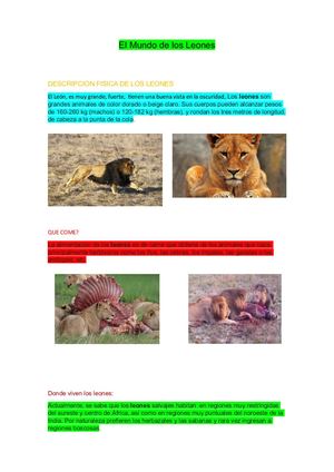 El Mundo De Los Leones