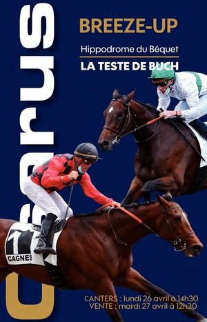 21 03 018 Osarus Ventes La Teste 135x210 [144p]