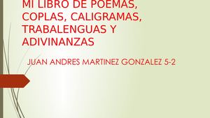 Mi Libro De Poemas, Coplas, Caligramas