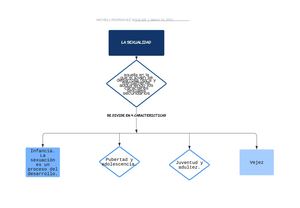 Mapa Conceptual