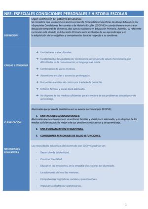 Neae Especiales Condiciones Personales E Historia Escolar Haizea Erro Docx