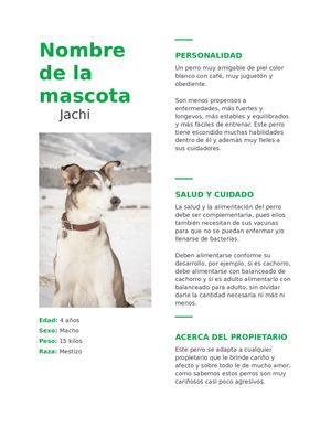 Curriculum De Mascotas Paola Pillajo