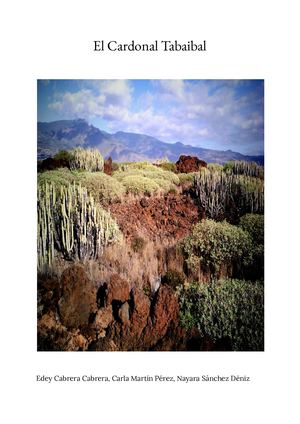 El Cardonal Tabaibal