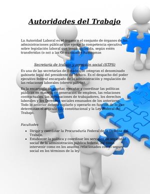 Autoridades Del Trabajo