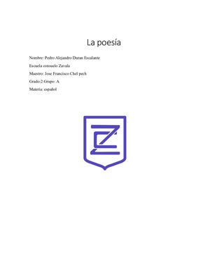 Pedro Alejandro Duran Escalante 2a Proyecto