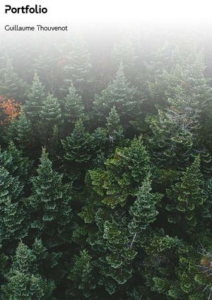 Portfolio Guillaume Thouvenot