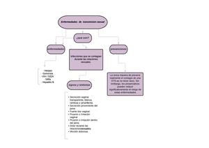 Mapa Conceptual Vannia Sanchez 9c Sexualidad En 4 Grado