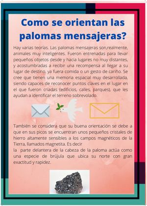 Como Se Orientan Las Palomas Mensajeras