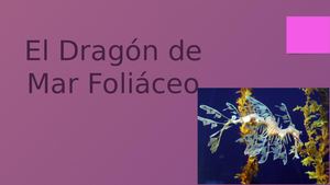 El Dragón De Mar Foliáceo