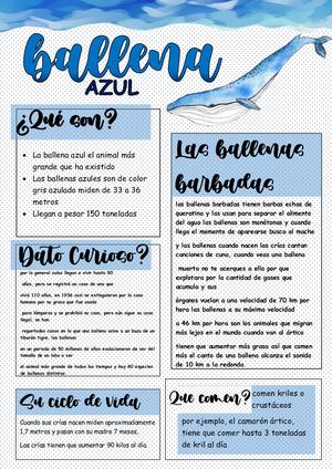 Ballenas Azules (1)