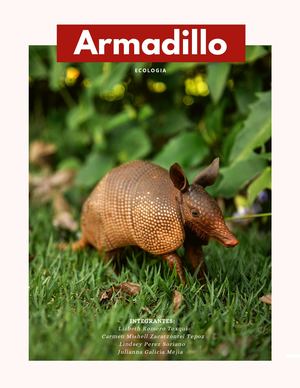 Armadillo (Ecología)