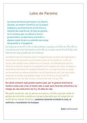 Lobos De Paramo