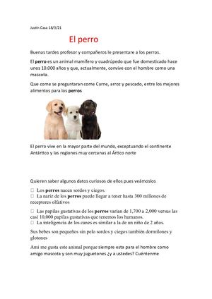 Perritos