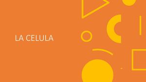 La Célula Animal