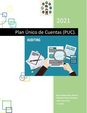 Plan Único De Cuentas (PUC) Vital Fresh S A S