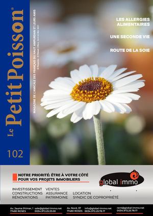 Petit Poisson N° 102