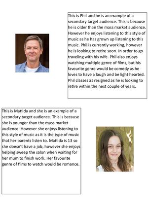 Secondary Audience Profile