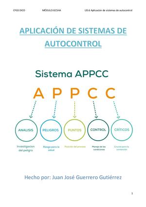 Trabajo Noelia Tema 6 Juan José Guerrero Gutiérrez (Sistema Appcc)