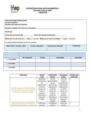 Instrumento De Evaluación Sumativa 8