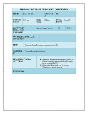Bitacora Practica No Formal