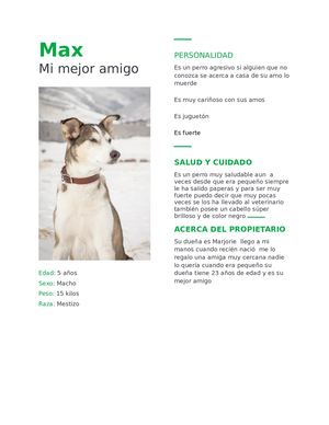 Currículum De Mascotas