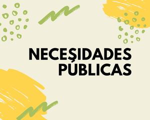 Necesidades Y Servicios Públicos