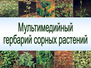 Мультимедийный гербарий сорных растений