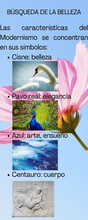 8 Búsqueda De La Belleza