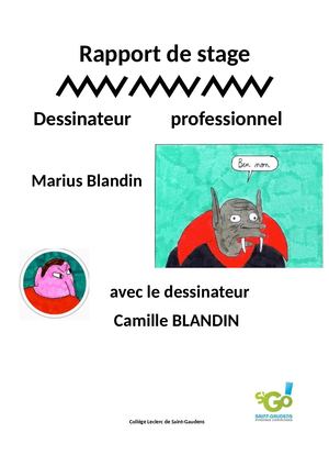 Rapport De Stage Marius Blandin 3e2 Dernière Version