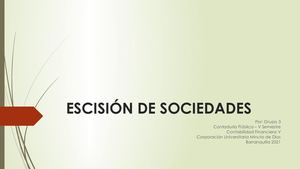 Escision De Sociedades