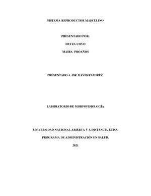 Anatomía, fisiología, histología y embriologia  del sistema reproductor Masculino