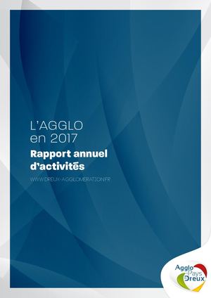 Rapport annuel d'activite 2017