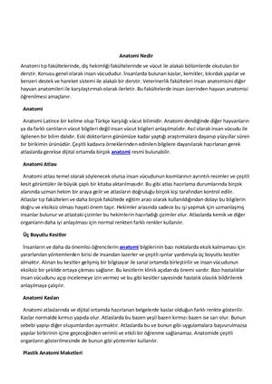 Anatomi Nedir