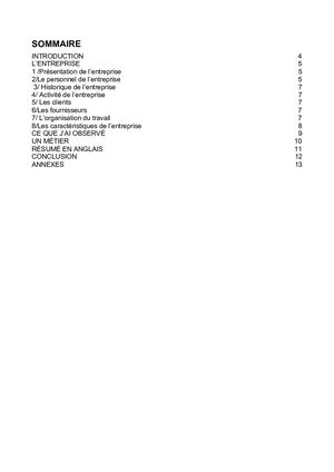Rapport De Stage