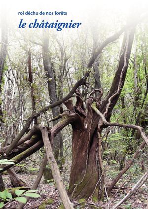 Le Chataignier