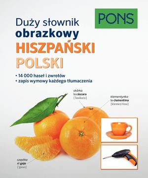 Duży słownik obrazkowy. Hiszpański