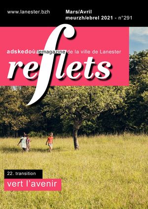 Reflets n°291 adapté - mars/avril 2021