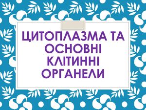 14 ЦИТОПЛАЗМА ТА ОСНОВНІ КЛІТИННІ ОРГАНЕЛИ